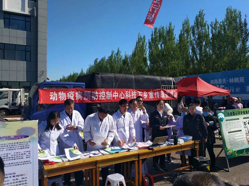 ��ҽ���������