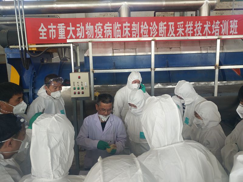 �̽��ٰ�ȫ���ش����߲��ٴ���...